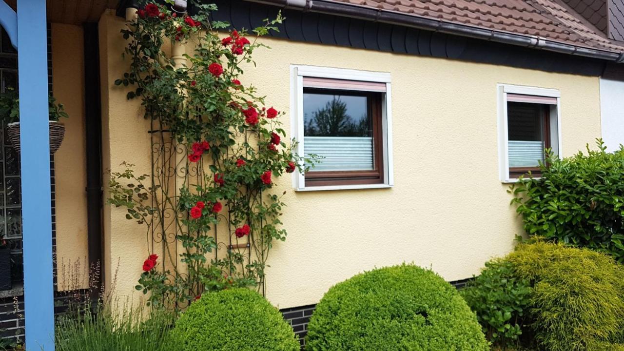 Ferienwohnung In Gartenlandschaft Kassel Exteriör bild